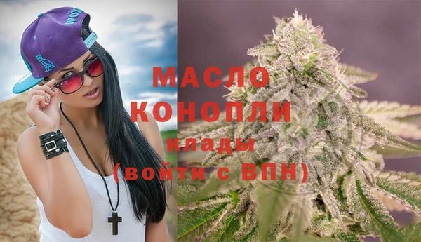 тгк Михайлов