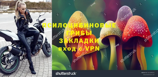 тгк Михайлов
