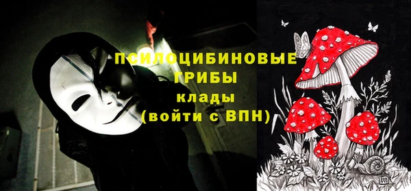 тгк Михайлов
